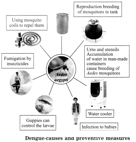 Maharashtra Board Solutions Class 8-Science: Chapter 2- Health and Diseases