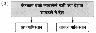 Maharashtra Board Class 9 Marathi Aksharbharati Solutions Chapter 11 आभाळातल्या पाऊलवाटा 21