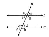 Maharashtra Board Class 9 Maths Solutions Chapter 2 Parallel Lines Practice Set 2.1 10