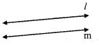 Maharashtra Board Class 9 Maths Solutions Chapter 2 Parallel Lines Practice Set 2.2 13
