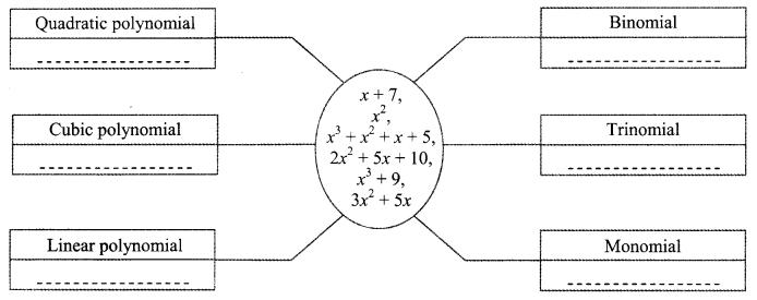 Maharashtra Board Class 9 Maths Solutions Chapter 3 Polynomials Practice Set 3.1 1