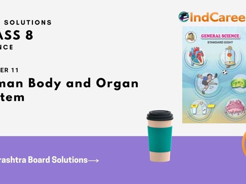Maharashtra Board Solutions Class 8-Science: Chapter 11- Human Body and Organ System