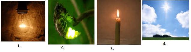 Maharashtra Board Class 6 Science Solutions Chapter 14 Light and the Formation of Shadow 4