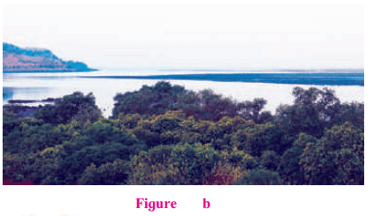 Maharashtra Board Class 7 Geography Solutions Chapter 3 Tides 10