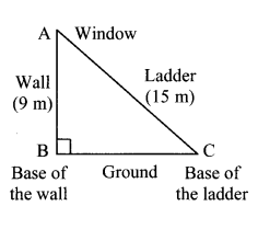 Maharashtra Board Class 7 Maths Solutions Chapter 13 Pythagoras' Theorem Practice Set 48 4
