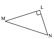 Maharashtra Board Class 7 Maths Solutions Chapter 13 Pythagoras' Theorem Practice Set 48 6