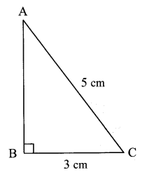 Maharashtra Board Class 7 Maths Solutions Chapter 13 Pythagoras' Theorem Practice Set 48 9