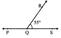 Maharashtra Board Class 7 Maths Solutions Chapter 4 Angles and Pairs of Angles Practice Set 19 5