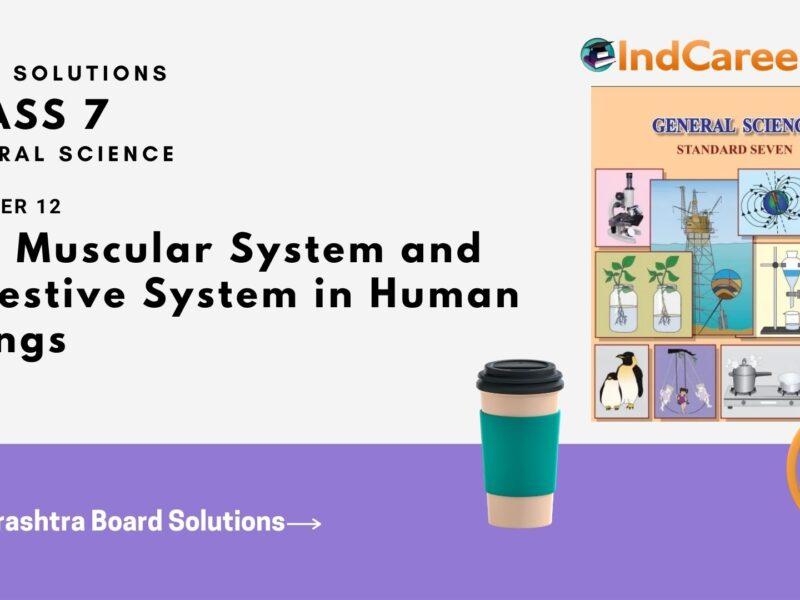 Maharashtra Board Solutions Class 7-Science: Chapter 12- The Muscular System and Digestive System in Human Beings