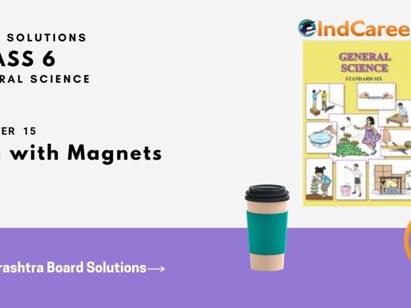 Maharashtra Board Solutions Class 6-Science: Chapter 15- Fun with Magnets