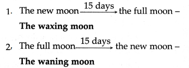 Maharashtra Board Class 5 EVS Solutions Part 1 Chapter 2 Motions of the Earth 1