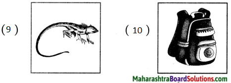 Maharashtra Board Class 5 Hindi Solutions Chapter 16 बोलो और जानो 3