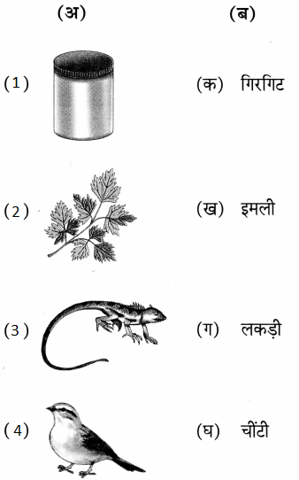 Maharashtra Board Class 5 Hindi Solutions Chapter 5 पहचान हमारी - भाग (१) 8