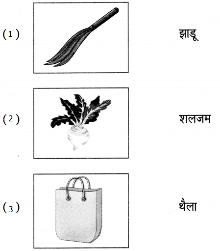 Maharashtra Board Class 5 Hindi Solutions पुनरावर्तन २ 2