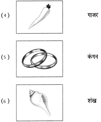 Maharashtra Board Class 5 Hindi Solutions पुनरावर्तन २ 3