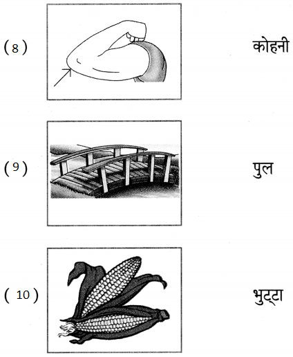 Maharashtra Board Class 5 Hindi Solutions पुनरावर्तन २ 5