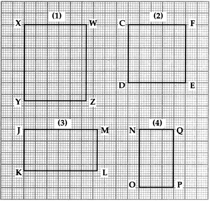 Maharashtra Board Class 5 Maths Solutions Chapter 12 Perimeter and Area Problem Set 50 9