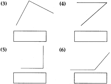 Maharashtra Board Class 5 Maths Solutions Chapter 5 Fractions Problem Set 25 6