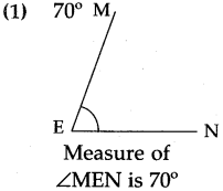 Maharashtra Board Class 5 Maths Solutions Chapter 5 Fractions Problem Set 25 7