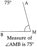 Maharashtra Board Class 5 Maths Solutions Chapter 6 Angles Problem Set 26 9