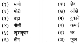 Maharashtra Board Class 6 Hindi Solutions Chapter 3 कठपुतली 10