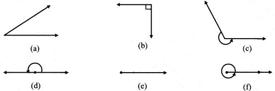 Maharashtra Board Class 6 Maths Solutions Chapter 2 Angles Practice Set 2 1