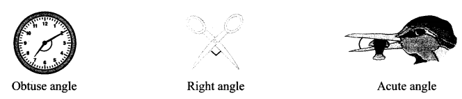 Maharashtra Board Class 6 Maths Solutions Chapter 2 Angles Practice Set 2 4