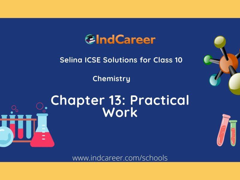 Selina Class 10 ICSE Solutions Chemistry : Chapter 13- Practical Work