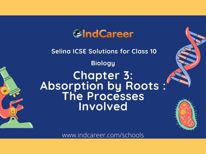 Selina Class 10 ICSE Solutions Biology : Chapter 3- Absorption by Roots : The Processes Involved