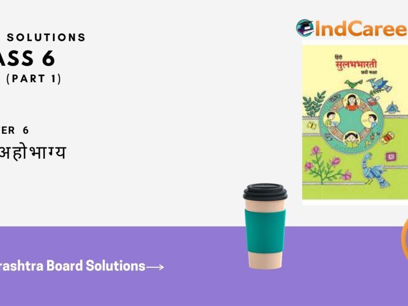 Maharashtra Board Solutions for Class 6- Hindi Sulabhbharati (Part 1): Chapter 6- मेरा अहोभाग्य