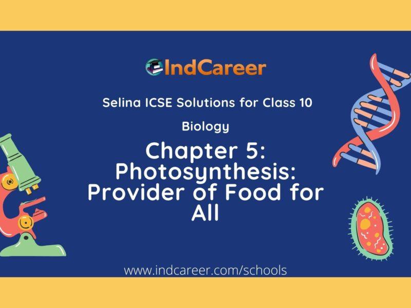 Selina Class 10 ICSE Solutions Biology : Chapter 5- Photosynthesis: Provider of Food for All