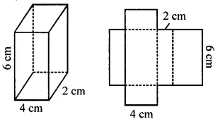 Selina Concise Mathematics Class 8 ICSE Solutions Chapter 19 Representing 3-D in 2-D 10
