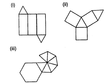 Selina Concise Mathematics Class 8 ICSE Solutions Chapter 19 Representing 3-D in 2-D Q12