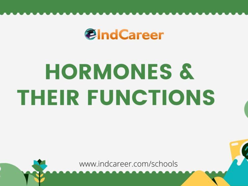 HORMONES & THEIR FUNCTIONS