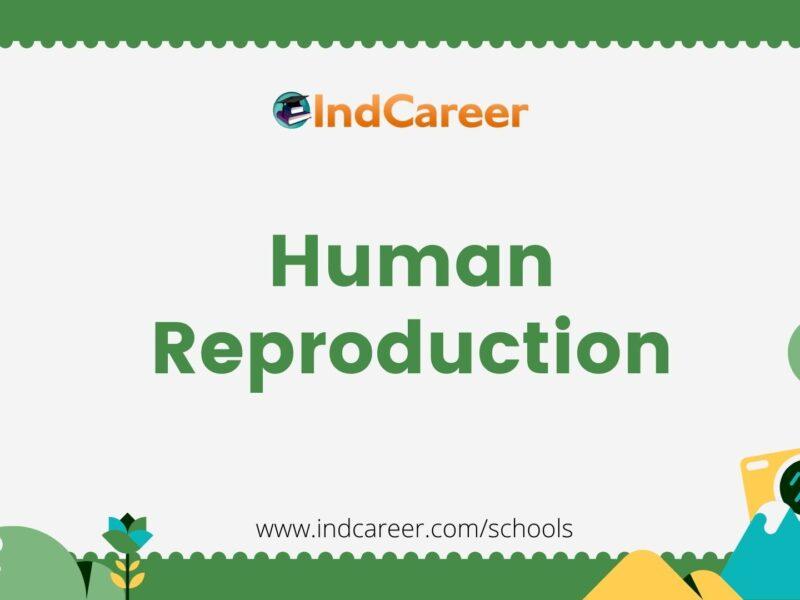 Human Reproduction