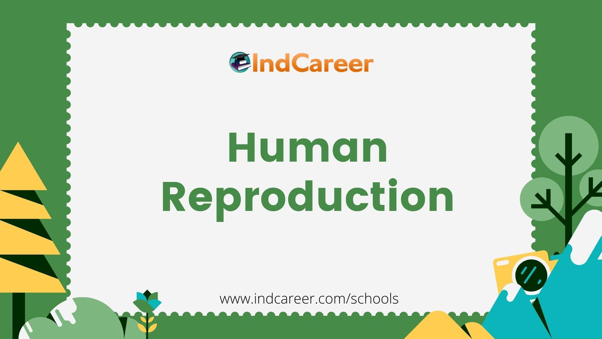 Human Reproduction