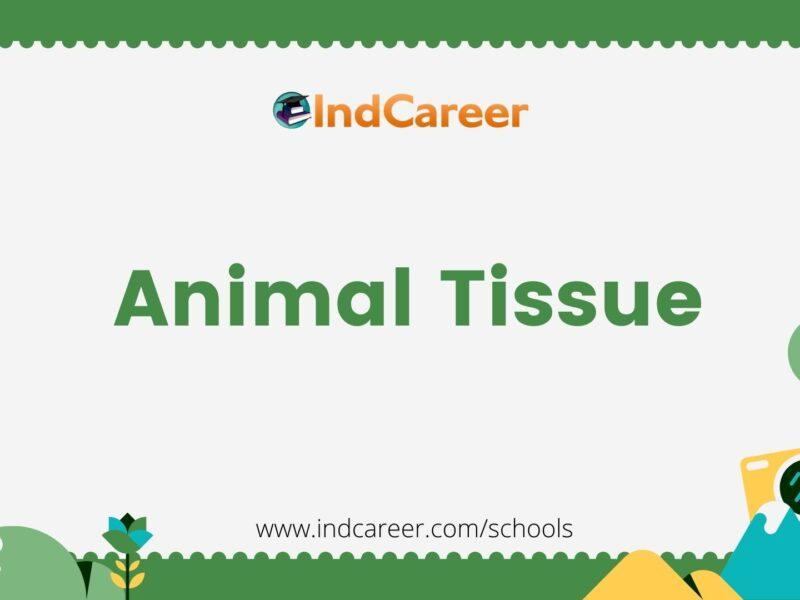 Animal Tissue