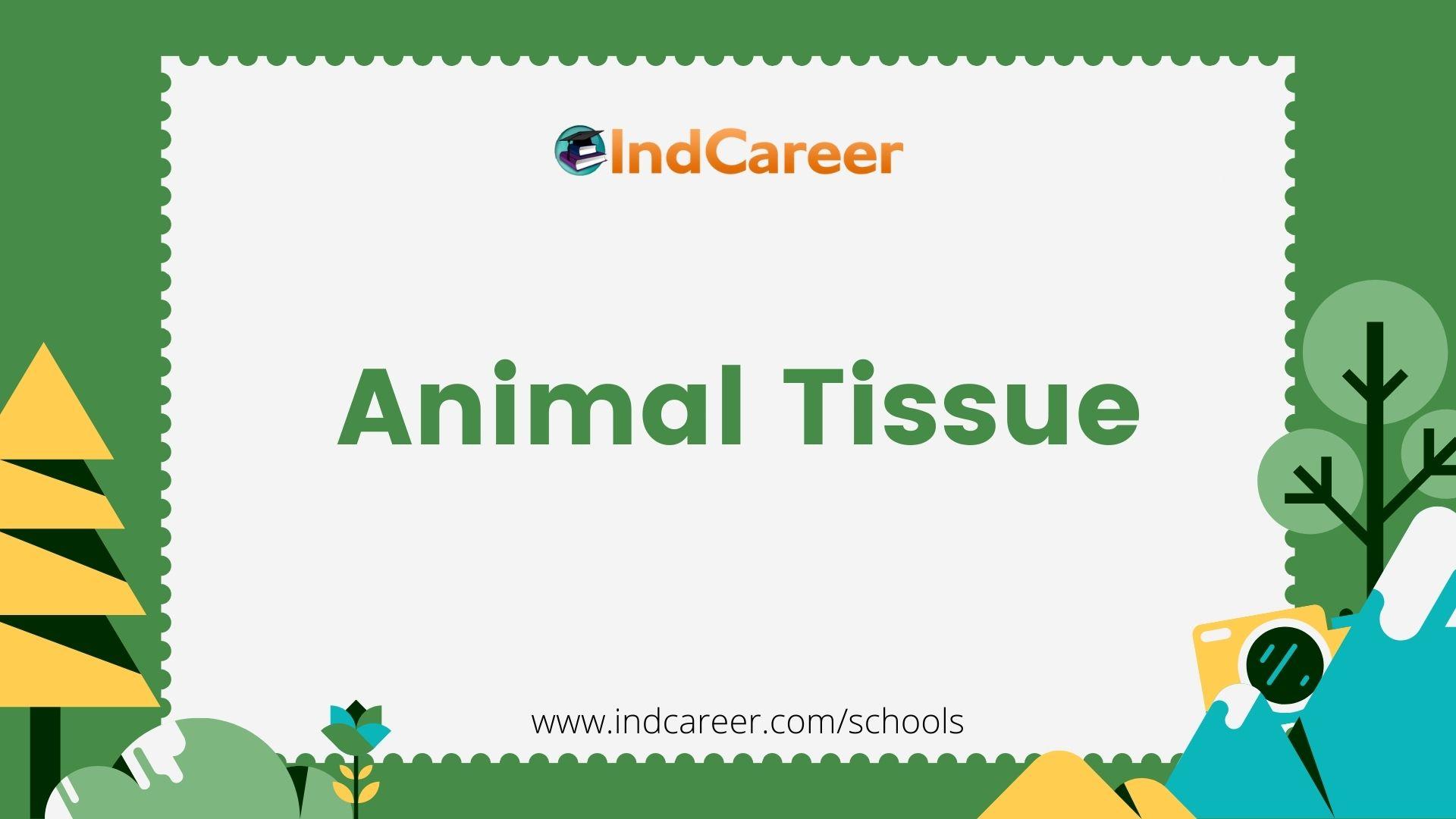 Animal Tissue