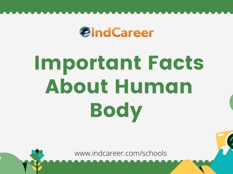 Important Facts About Human Body