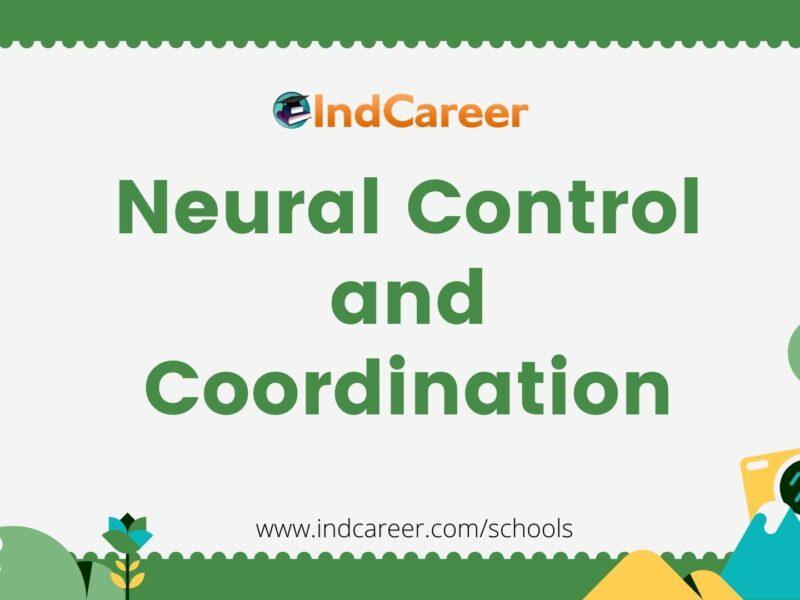 Neural Control and Coordination
