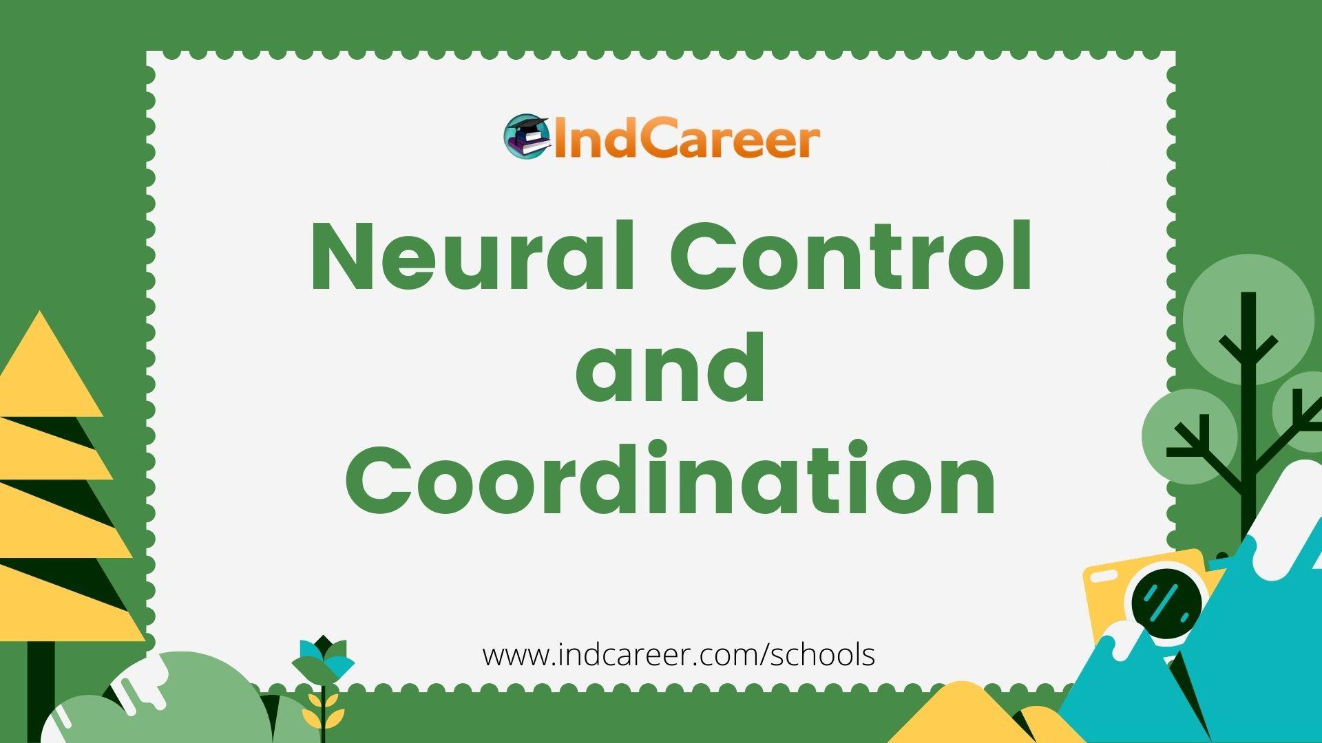 Neural Control and Coordination