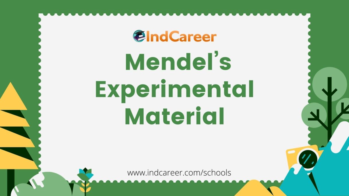 Mendel’s Experimental Material