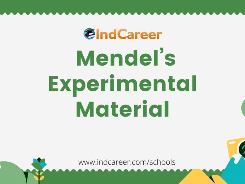 Mendel’s Experimental Material
