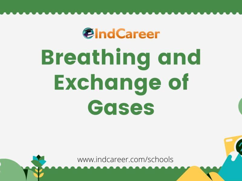 Breathing and Exchange of Gases