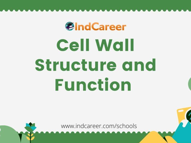 Cell Wall Structure and Function