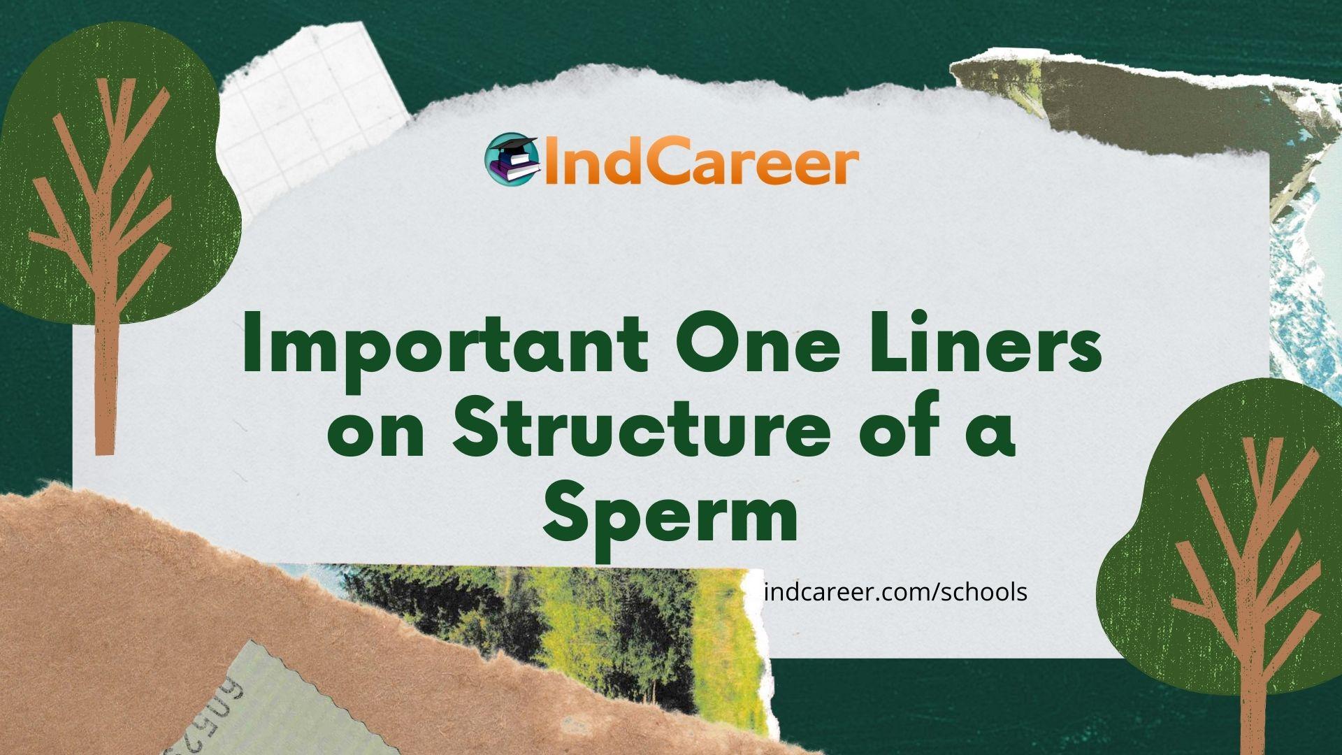 Important One Liners on Structure of a Sperm