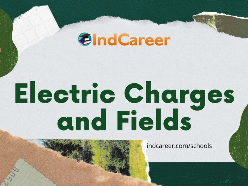 Electric Charges and Fields