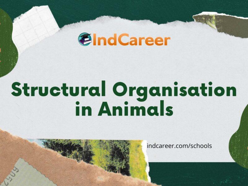 Structural Organisation in Animals