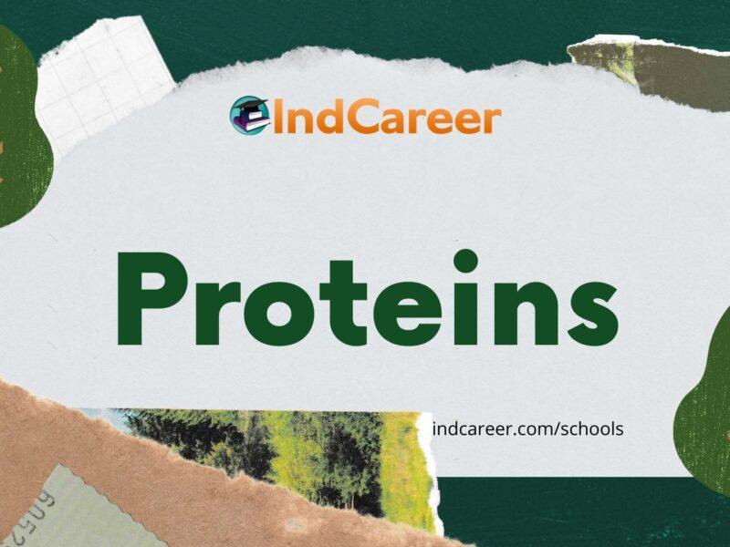 Proteins
