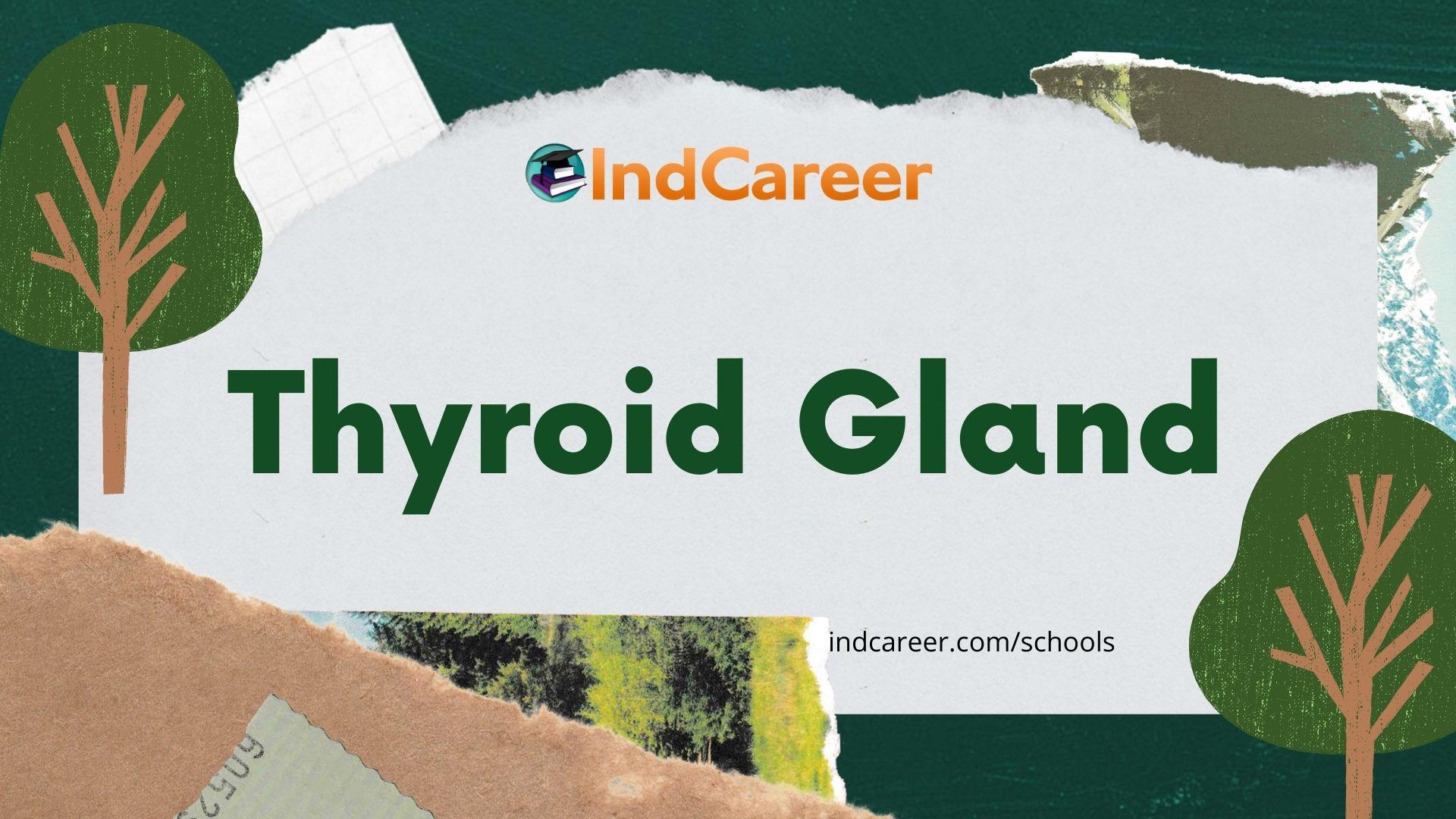 Thyroid gland